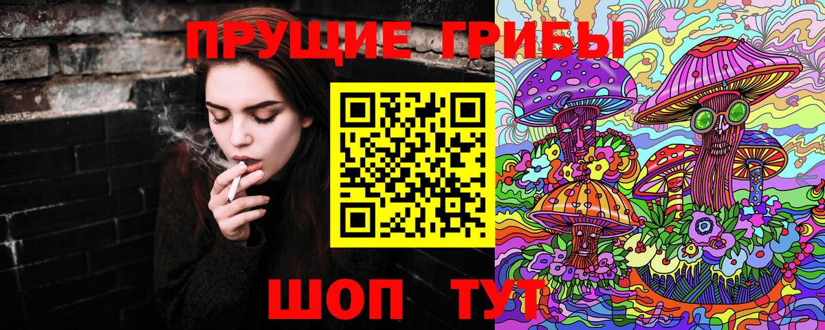 Псилоцибиновые грибы GOLDEN TEACHER Сокол